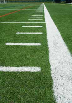 Custom Casters Solve Tricky Astroturf Problem