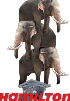 3 elephants stacked on a caster