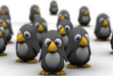 Penguins