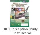 NED Perception Study