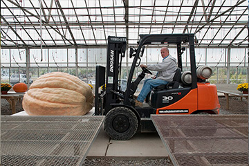 Giant Pumpkin on a Forklift